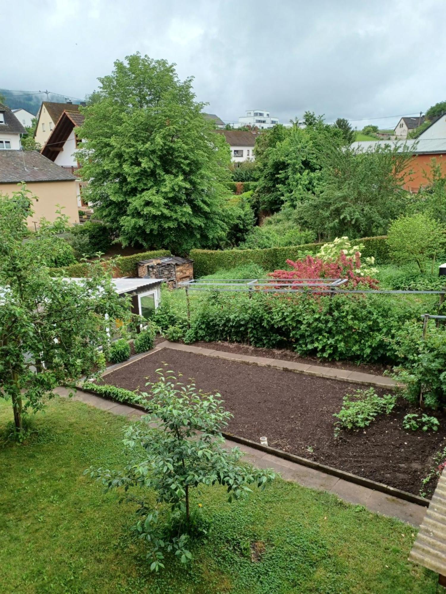 Gaestehaus Bausch Mehring  Extérieur photo